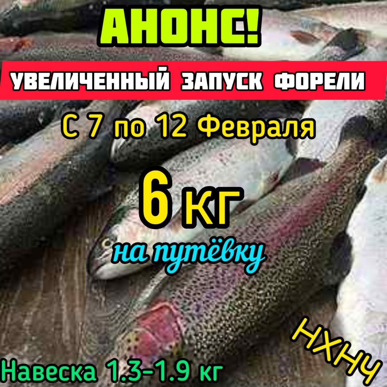 Увеличенный запуск форели 7-12 февраля